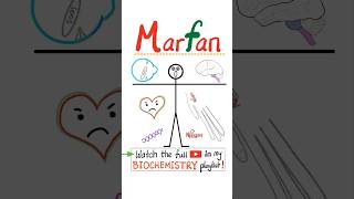 Marfan Syndrome  Genetics 🧬…science nclex mbbs usmle nurse doctor biology anatomy [upl. by Idac]