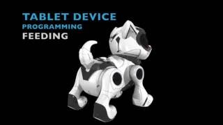 Teksta 5G Puppy Video Instructions [upl. by Verada]