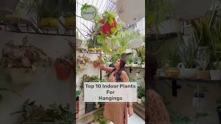 Top 10 Indoor Plants for Hanging Pots 😱🪴 gardeninglovers gardendesign gardening [upl. by Gnas48]