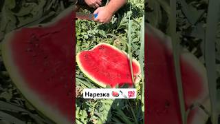 Нарезка 🍉🔪💯 [upl. by Ecinreb]