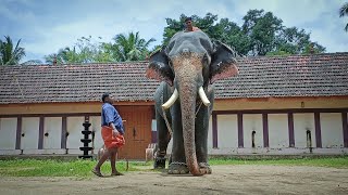 ചെർപ്പുളശ്ശേരി മണികണ്ഠൻ  Cherpulassery Manikandan [upl. by Gadmann]