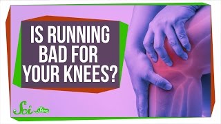 Is Running Really Bad for Your Knees [upl. by Winthorpe488]