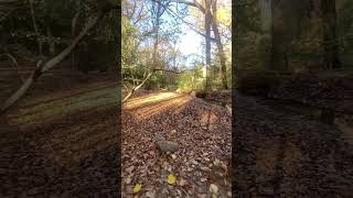 🍁 Epic Fall Hiking Adventure Stunning Views amp Wild Trails 🍂 FallHiking2024 LeafPeeping [upl. by Aicenaj]