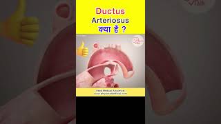 Ductus arteriosus क्या है shorts ductusarteriosus heart [upl. by Rowney814]