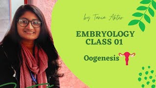 Embryology Class 01  Gametogenesis  Oogenesis  Bangla Demonstration of Oogenesis [upl. by Keyser]