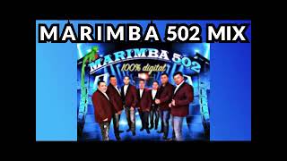 MARIMBA 502 MIX FIESTA MIX 11 la abeja miope Maria Elena tucanazo la culebra [upl. by Yerok]