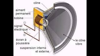 Haut parleur électrodynamique [upl. by Newel]