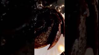 Thonnal  തോന്നൽ Cake  Chocolate Swirl Cake [upl. by Sherris]