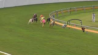 Bundaberg08072024Race11 [upl. by Gal]