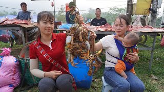 FULL VIDEO30 Days single mother picking stone crabs and harvesting Lychee Fruit Go To Market Sell [upl. by Trudi]