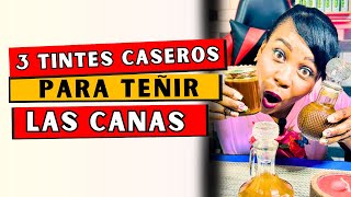 3 TINTES CASEROS Y NATURALES Para Teñir Las Canas [upl. by Ydahs]