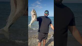 Surfcasting sicily surfcasting fisherman fishing fish fishingvideo fishinglife [upl. by Ititrefen]