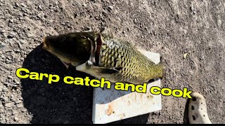 Carp catch and cook Are they really that bad [upl. by Nyrak]