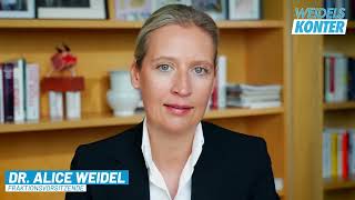 🚨 Weidel packt aus Deutschlands Sicherheitspolitik ein einziges Chaos 😱🇩🇪 [upl. by Sharyl868]