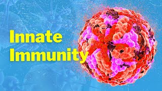 The Cells of Innate Immunity and Mechanism [upl. by Ynaffad]