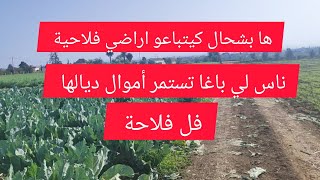 ها الحقيقة باش كيتباعو اراضي فلاحية لصالح فلاحة وفيها الماء مجود خليونا من سمسارة الكدابةعقاراتعلي [upl. by Graham]