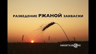 Разведение РЖАНОЙ закваски по Хамельману [upl. by Ekard18]