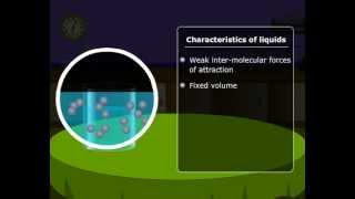 Characteristics of States of Matter  States of Matter  Class 11 Chemistry Meritnationcom [upl. by Alo]