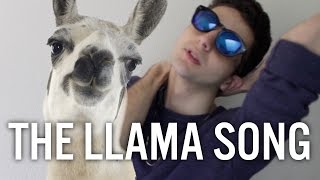 THE LLAMA SONG [upl. by Hathcock]