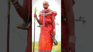 SAMBURU TRIBE NEW WEDDED BRIDE samburu eastafricanweddings africa love weddingfilm culture [upl. by Madora]