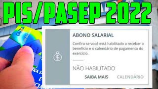 PISPASEP 2022 SITUAÇÃO NÃO HABILITADO COMO RECEBER Abono salarial Não Habilitado o que fazer [upl. by Major]