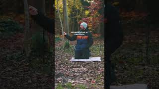 Hunde vermenschlichen hundeerziehung hundetraining [upl. by Leay]