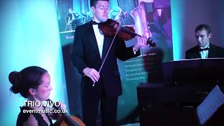 Heaven  AdamsDJ Sammy Violin Cello amp Piano  Trio Vivo [upl. by Einahpts]