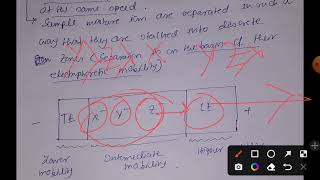 Isotachophoresis explained [upl. by Sturdivant]