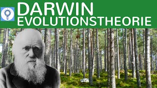 Evolutionstheorie von Charles Darwin  Die Selektionstheorie  Evolution 6 [upl. by Fidelity630]