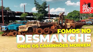 DESMANCHE ONDE OS CAMINHÕES E PICAPES MORREM  E COMO FICOU 8 MESES DEPOIS [upl. by Llorre]