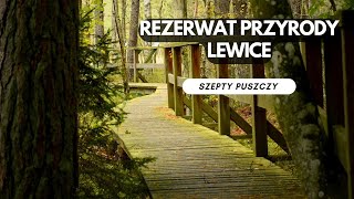 Rezerwat Przyrody LEWICE [upl. by Ahsiekahs909]