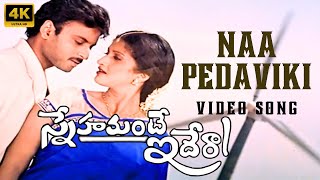 Naa Pedaviki Navullu 4K Full Video Song  Snehamante Idera Movie  Sumanth  Prathyusha  Nagarjuna [upl. by Ahser]