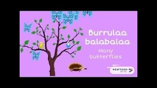 Burrulaa Balabalaa Many butterflies [upl. by Anyrak]