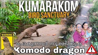 Kumarakom Bird Sanctuary  പതിയിരിക്കുന്ന അപകടം 😱 Trekking Destination  kumarakom Tourist Places [upl. by Anirbas]