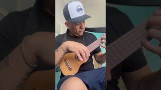 Llamitas  Inti Illimani cover Charango [upl. by Strickler703]