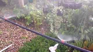 DIY Mini Sprinkler Orange 180 Watering in Garden Lawn Misting 7 [upl. by Ainig]