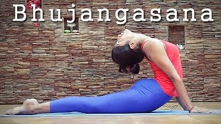 Bhujangasana  Preparatory Poses for Chakrasana [upl. by Behm989]