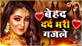 Live i Sad Song 2024दिल टुटा हुआ आशिक़ ही देखे  KshamaPandey2024  Heart Touching 2024  Hind [upl. by Enelak797]