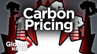 How carbon pricing works [upl. by Chrissy484]