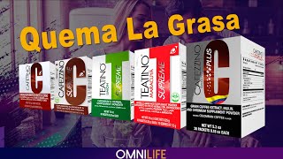 ¿Cuáles Son Los Productos Omnilife Para Bajar De Peso [upl. by Cilegna]