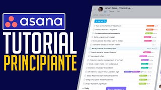 Cómo usar ASANA para Principiantes 2024  Tutorial Asana Español [upl. by Idnyl]