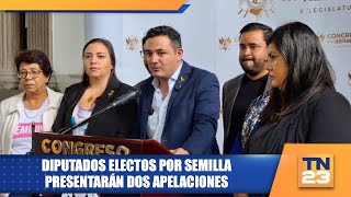 Diputados electos por Semilla presentarán dos apelaciones [upl. by Stultz]