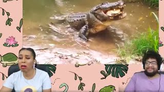 TierZoo Are Crocodiles OP ft Chavezz [upl. by Arracot145]