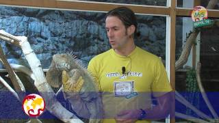 ReptilTV  Folge 15  Handling von Echsen [upl. by Oile]