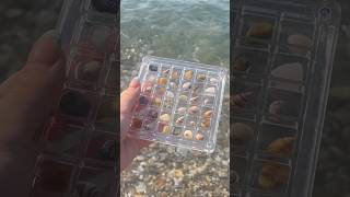 Collecting little sea shells and rocks🐚🤍 [upl. by Marozik]