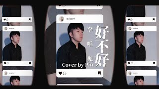 李唯楓  【好不好】 cover by Pin [upl. by Leonhard80]