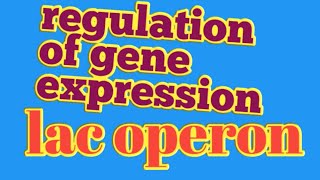 regulation of gene expressionlac operon neet biology [upl. by Uird758]