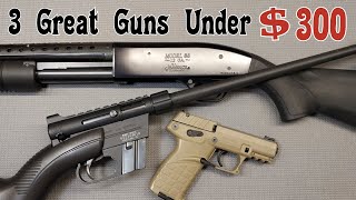 3 Great Budget Firearms Under 300 That Are Accurate amp Reliable  Mossberg  Henry  Kel Tec [upl. by Regazzi]