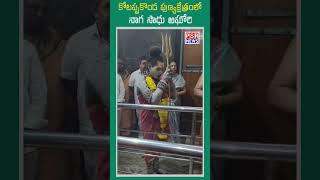 కోటప్పకొండ పుణ్యక్షేత్రంలో నాగ సాధు అఘోరీ temple narasaraopeta aghori viralvideo trending news [upl. by Illek]