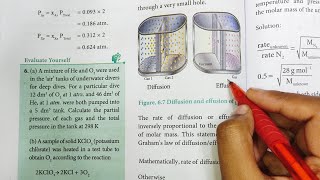 Grahams Law of diffusion  Gaseous State  Class 11 Chemistry  In Tamil [upl. by Jean]